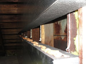 An effective attic insulation system in a Prescott home