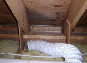 Attic mold problem in a Wisconsin and Minnesota home